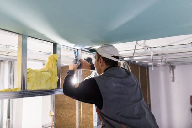 Best Professional Insulation Contractor  in Runge, TX