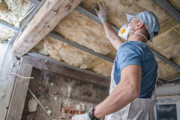 Best Spray Foam Insulation  in Runge, TX
