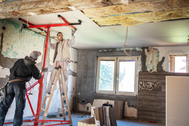 Best Commercial Insulation Contractor  in Runge, TX