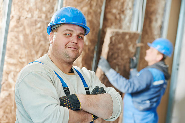 Best Energy-efficient Insulation  in Runge, TX
