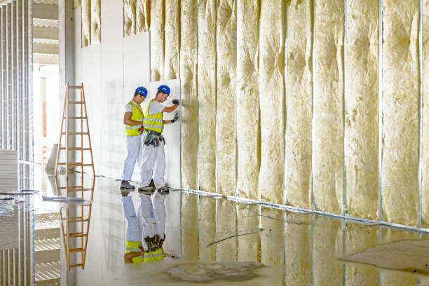 Best Attic Insulation Installation  in Runge, TX